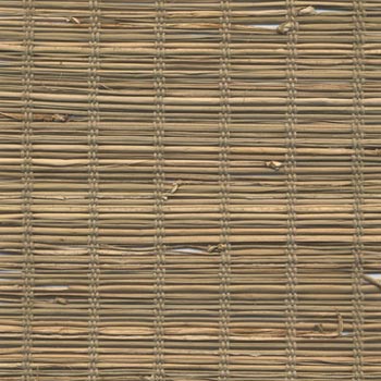 DSCN0538
