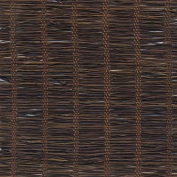 DSCN0538