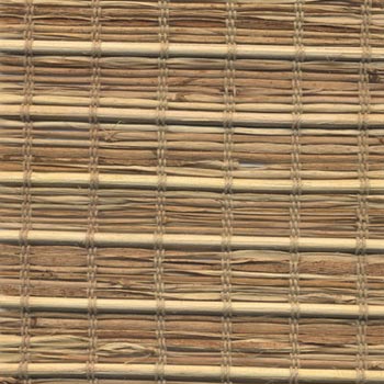 DSCN0538